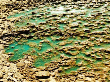 结壳抑尘剂厂家